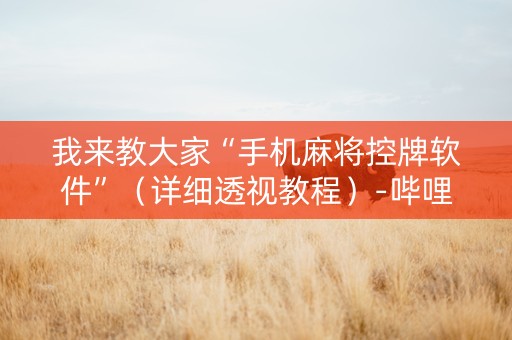 我来教大家“手机麻将控牌软件”（详细透视教程）-哔哩哔哩