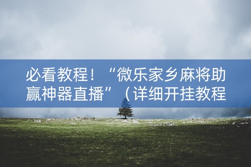 必看教程！“微乐家乡麻将助赢神器直播”（详细开挂教程）-哔哩哔哩