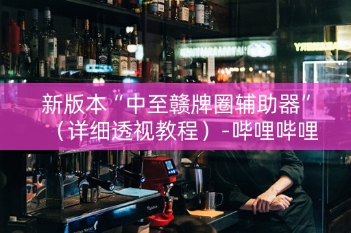 新版本“中至赣牌圈辅助器”（详细透视教程）-哔哩哔哩