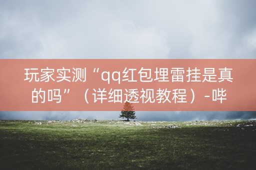 玩家实测“qq红包埋雷挂是真的吗”（详细透视教程）-哔哩哔哩
