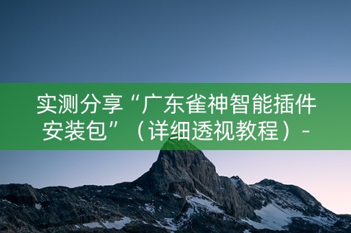 实测分享“广东雀神智能插件安装包”（详细透视教程）-哔哩哔哩