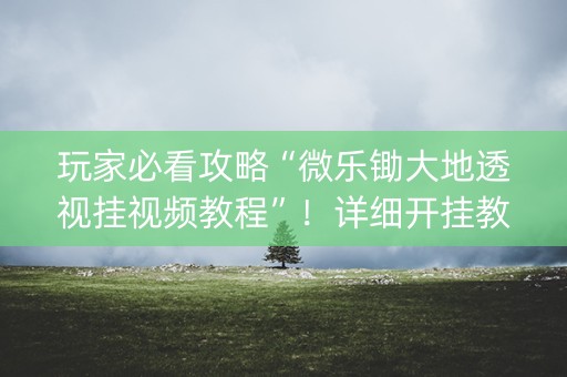 玩家必看攻略“微乐锄大地透视挂视频教程”！详细开挂教程（确实真的有挂)-知乎