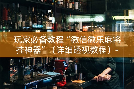 玩家必备教程“微信微乐麻将挂神器”（详细透视教程）-哔哩哔哩