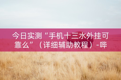 今日实测“手机十三水外挂可靠么”（详细辅助教程）-哔哩哔哩
