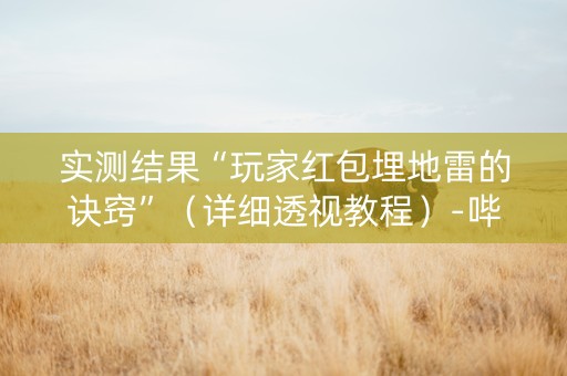 实测结果“玩家红包埋地雷的诀窍”（详细透视教程）-哔哩哔哩