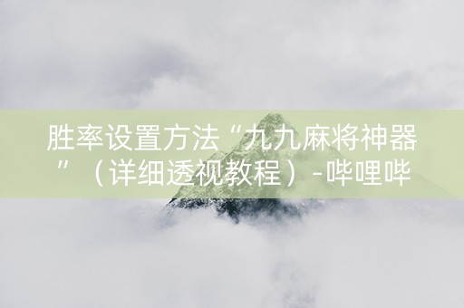 胜率设置方法“九九麻将神器”（详细透视教程）-哔哩哔哩