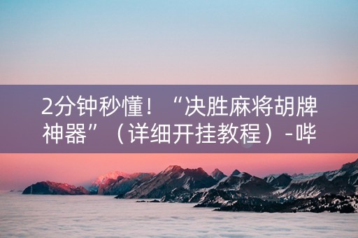 2分钟秒懂！“决胜麻将胡牌神器”（详细开挂教程）-哔哩哔哩