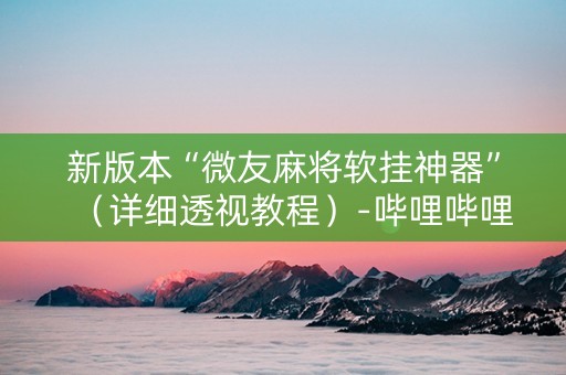 新版本“微友麻将软挂神器”（详细透视教程）-哔哩哔哩