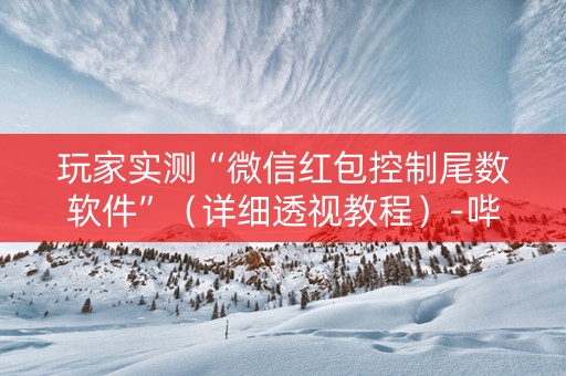 玩家实测“微信红包控制尾数软件”（详细透视教程）-哔哩哔哩