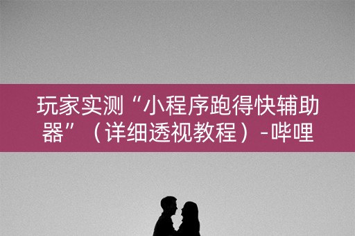 玩家实测“小程序跑得快辅助器”（详细透视教程）-哔哩哔哩