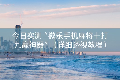 今日实测“微乐手机麻将十打九赢神器”（详细透视教程）-哔哩哔哩