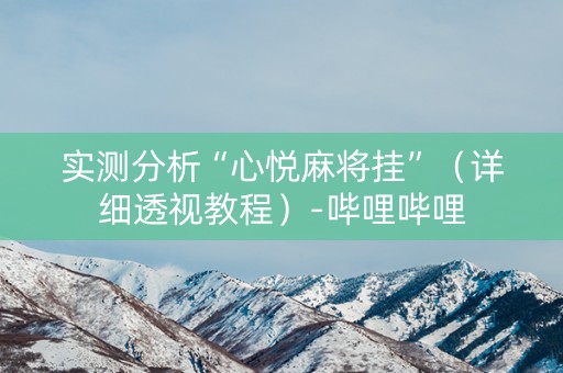 实测分析“心悦麻将挂”（详细透视教程）-哔哩哔哩