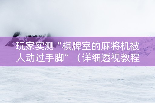 玩家实测“棋牌室的麻将机被人动过手脚”（详细透视教程）-哔哩哔哩