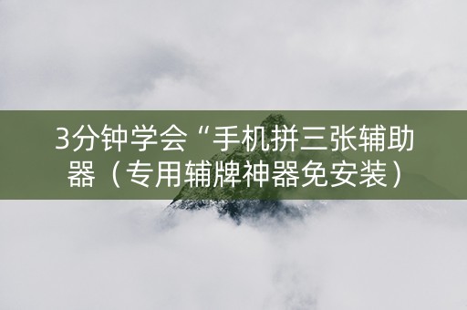 3分钟学会“手机拼三张辅助器（专用辅牌神器免安装）
