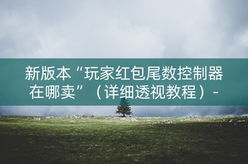 新版本“玩家红包尾数控制器在哪卖”（详细透视教程）-哔哩哔哩