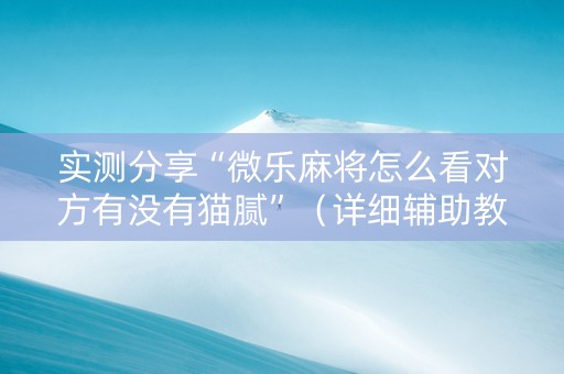 实测分享“微乐麻将怎么看对方有没有猫腻”（详细辅助教程）-哔哩哔哩