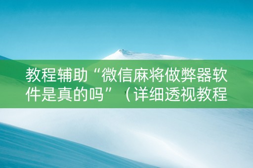 教程辅助“微信麻将做弊器软件是真的吗”（详细透视教程）-哔哩哔哩