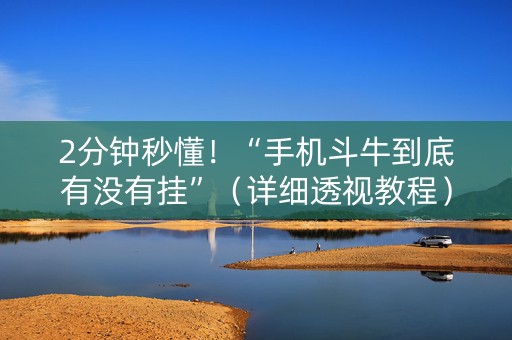 2分钟秒懂！“手机斗牛到底有没有挂”（详细透视教程）-哔哩哔哩
