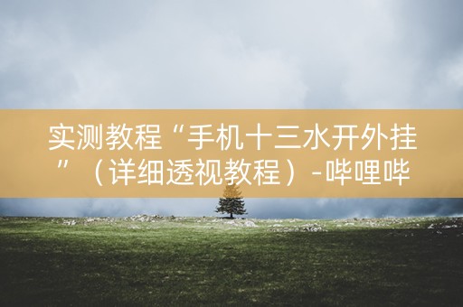 实测教程“手机十三水开外挂”（详细透视教程）-哔哩哔哩