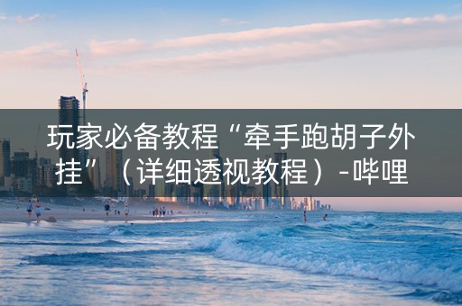 玩家必备教程“牵手跑胡子外挂”（详细透视教程）-哔哩哔哩