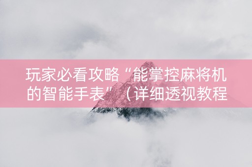 玩家必看攻略“能掌控麻将机的智能手表”（详细透视教程）-哔哩哔哩