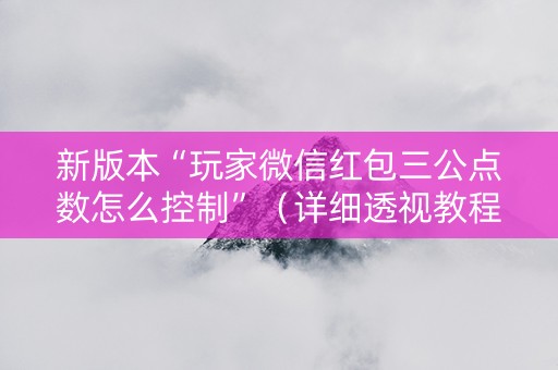 新版本“玩家微信红包三公点数怎么控制”（详细透视教程）-哔哩哔哩