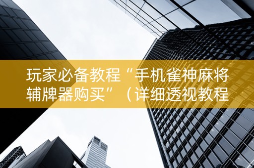 玩家必备教程“手机雀神麻将辅牌器购买”（详细透视教程）-哔哩哔哩
