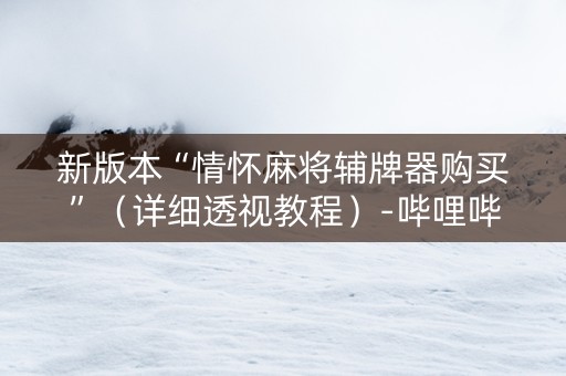 新版本“情怀麻将辅牌器购买”（详细透视教程）-哔哩哔哩
