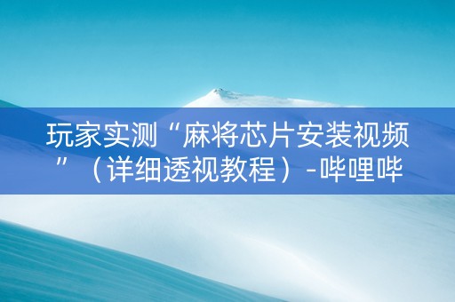 玩家实测“麻将芯片安装视频”（详细透视教程）-哔哩哔哩