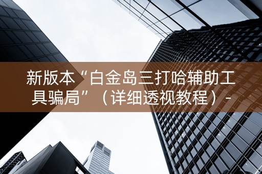 新版本“白金岛三打哈辅助工具骗局”（详细透视教程）-哔哩哔哩
