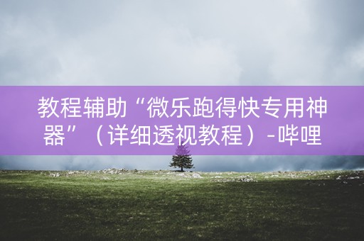教程辅助“微乐跑得快专用神器”（详细透视教程）-哔哩哔哩
