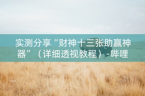 实测分享“财神十三张助赢神器”（详细透视教程）-哔哩哔哩