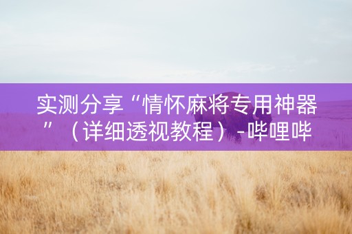 实测分享“情怀麻将专用神器”（详细透视教程）-哔哩哔哩