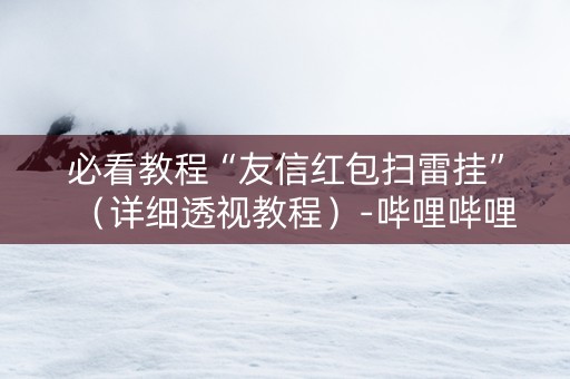 必看教程“友信红包扫雷挂”（详细透视教程）-哔哩哔哩