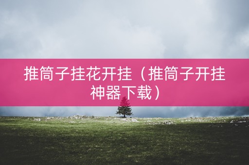 推筒子挂花开挂（推筒子开挂神器下载）