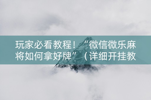 玩家必看教程！“微信微乐麻将如何拿好牌”（详细开挂教程）-哔哩哔哩