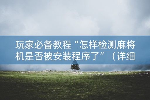 玩家必备教程“怎样检测麻将机是否被安装程序了”（详细透视教程）-哔哩哔哩
