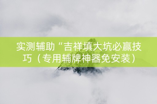 实测辅助“吉祥填大坑必赢技巧（专用辅牌神器免安装）
