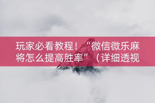 玩家必看教程！“微信微乐麻将怎么提高胜率”（详细透视教程）-哔哩哔哩