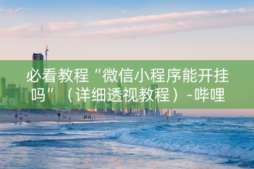 必看教程“微信小程序能开挂吗”（详细透视教程）-哔哩哔哩