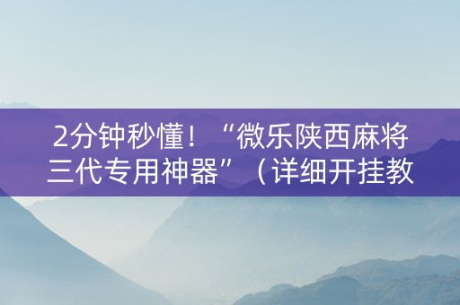 2分钟秒懂！“微乐陕西麻将三代专用神器”（详细开挂教程）-哔哩哔哩