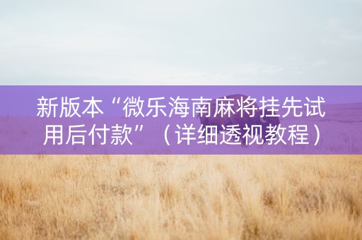 新版本“微乐海南麻将挂先试用后付款”（详细透视教程）-哔哩哔哩
