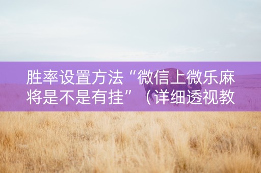 胜率设置方法“微信上微乐麻将是不是有挂”（详细透视教程）-哔哩哔哩