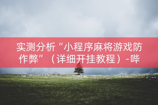 实测分析“小程序麻将游戏防作弊”（详细开挂教程）-哔哩哔哩