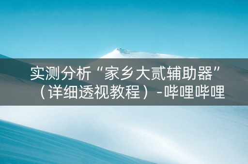 实测分析“家乡大贰辅助器”（详细透视教程）-哔哩哔哩