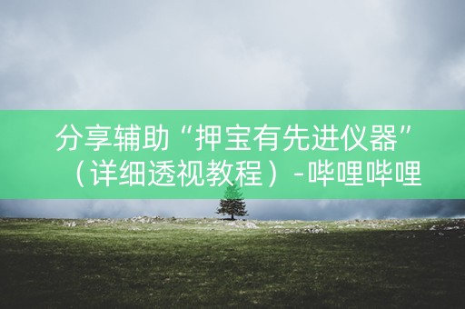 分享辅助“押宝有先进仪器”（详细透视教程）-哔哩哔哩