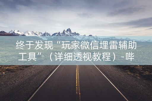 终于发现“玩家微信埋雷辅助工具”（详细透视教程）-哔哩哔哩