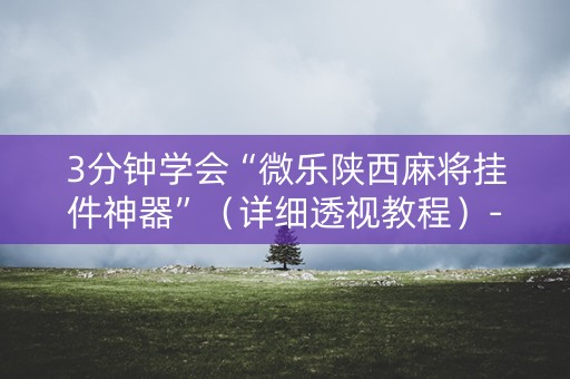 3分钟学会“微乐陕西麻将挂件神器”（详细透视教程）-哔哩哔哩