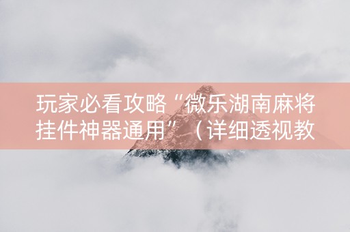 玩家必看攻略“微乐湖南麻将挂件神器通用”（详细透视教程）-哔哩哔哩