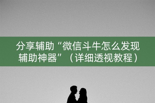 分享辅助“微信斗牛怎么发现辅助神器”（详细透视教程）-哔哩哔哩